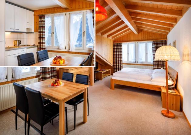 Chalet Altenhaus Grindelwald Exteriér fotografie